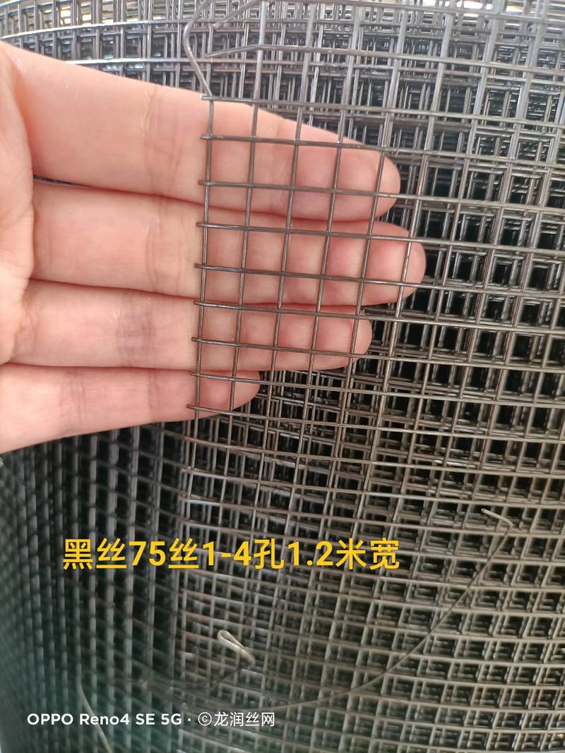 鱼塘防护网与筛网的多重功能解析 有助高效养殖与安全防护